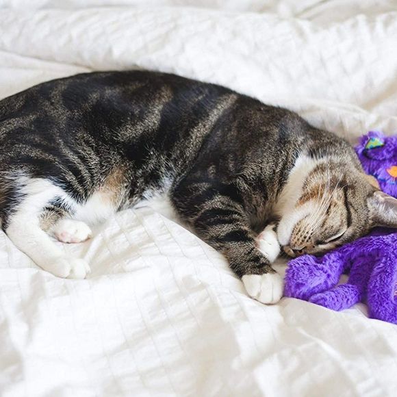 Petstages Purr Pillow Kitty Soothing Plush Cat Toy - Picture 2 of 4